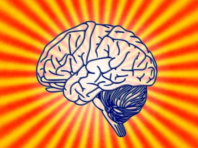 Recherche : percée israélienne sur la tumeur au cerveau