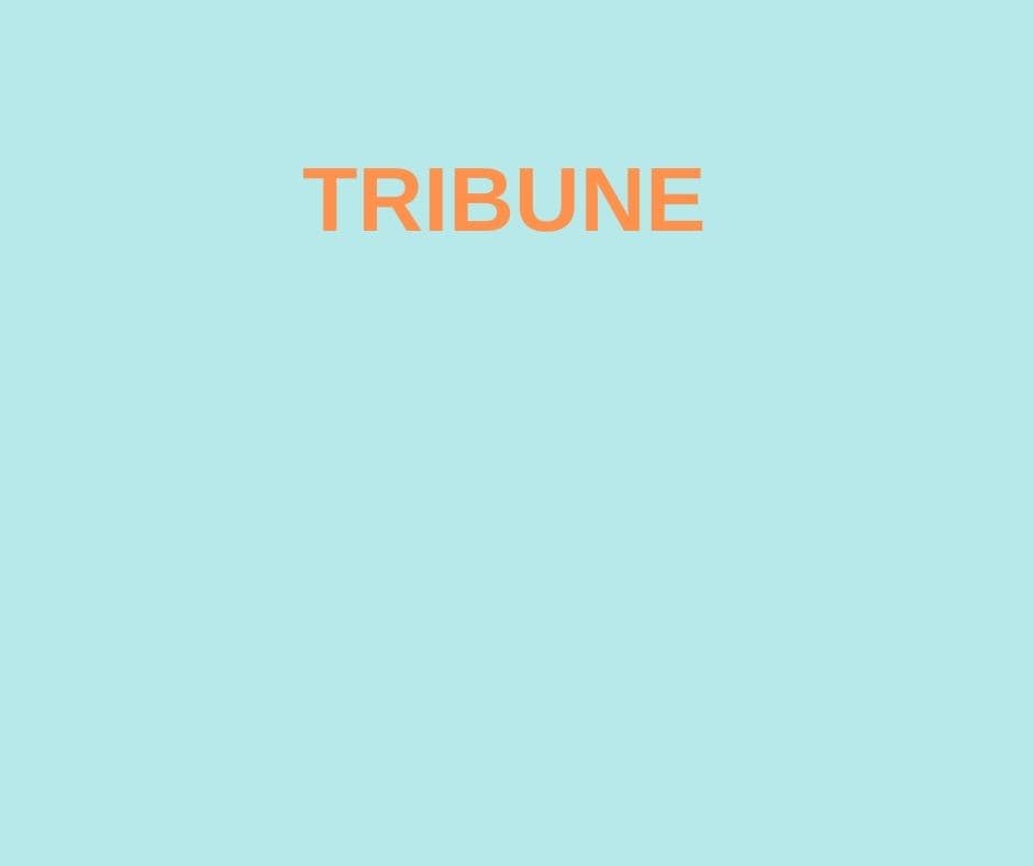 Nous, intellectuels juifs et non-juifs, sommes solidaires du gouvernement Netanyahou pour la libération des otages et pour détruire le Hamas