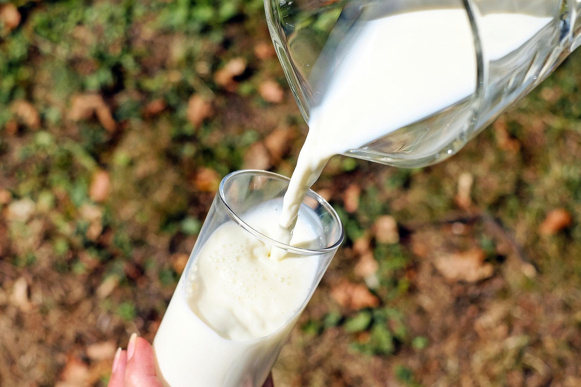 Le prix du lait va augmenter de 4.9%