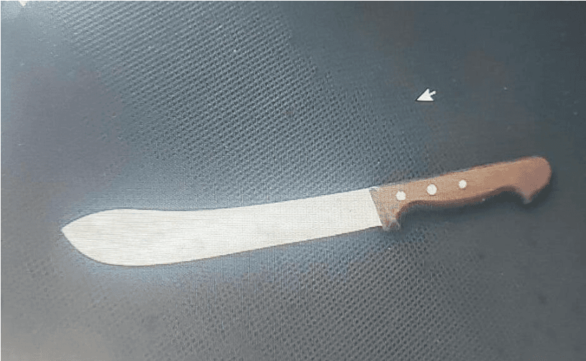 Attentat évité à Tel Aviv: un Gazaoui arrêté muni d’un couteau de boucher