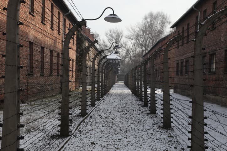 Près de la moitié des jeunes Français affirment ne jamais avoir entendu parler de la Shoah