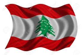 Carlos Goshn est attaqué au Liban pour sa visite en Israël, « pays ennemi »