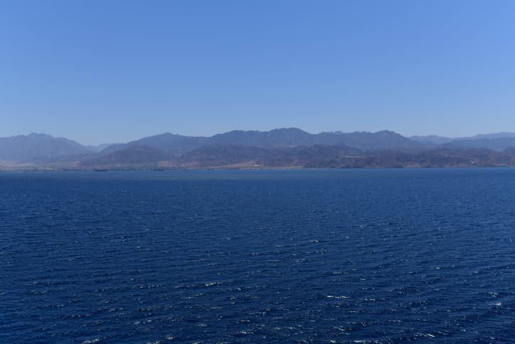 Le porte-parole des Houthis du Yémen: ”Nous continuerons à attaquer Israël”