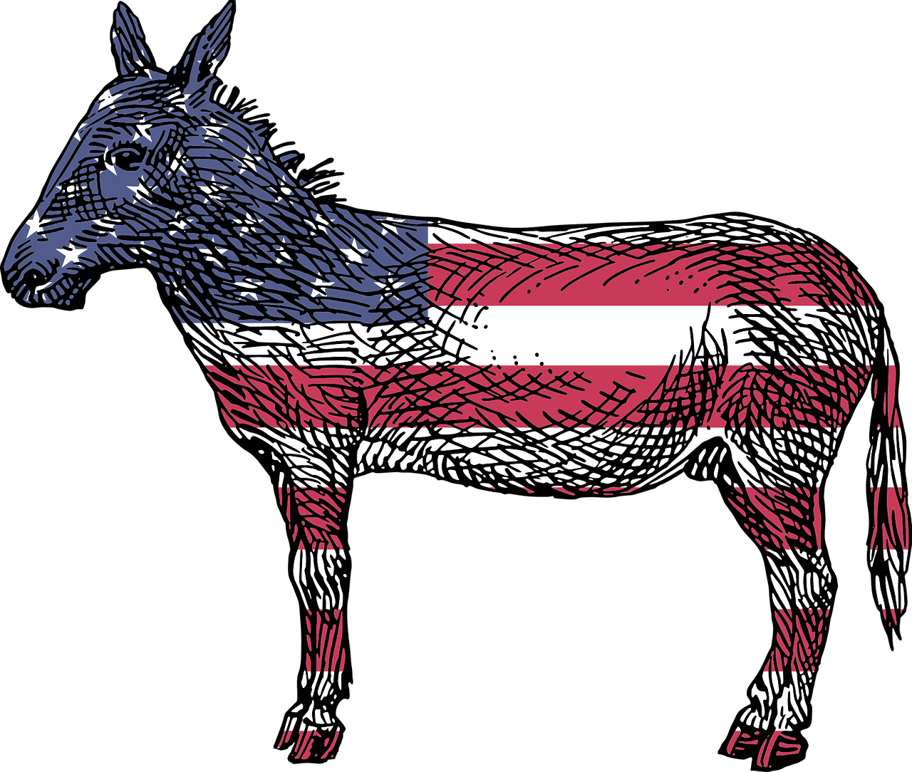 Etats-Unis: les Démocrates sont pour la première fois majoritairement pro-palestiniens