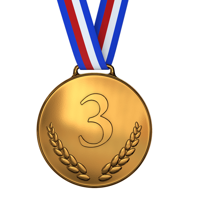 9e médaille pour Israël aux Jeux paralympiques de Paris